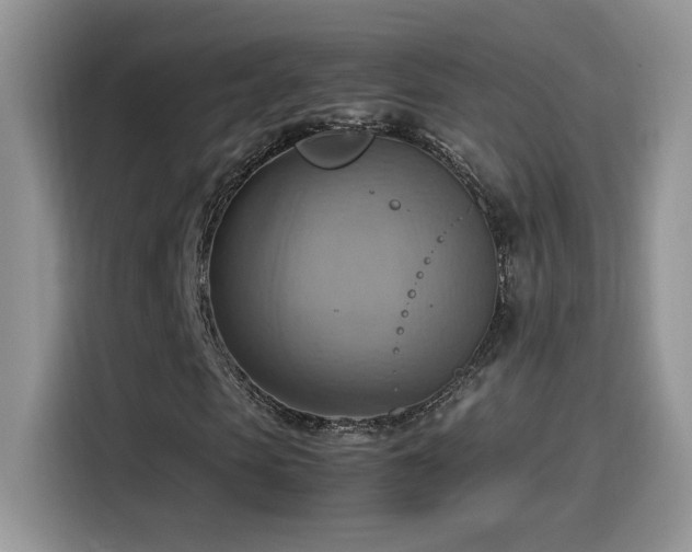 X0000115560913200911061550