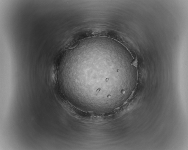 X0000115560914200911061550