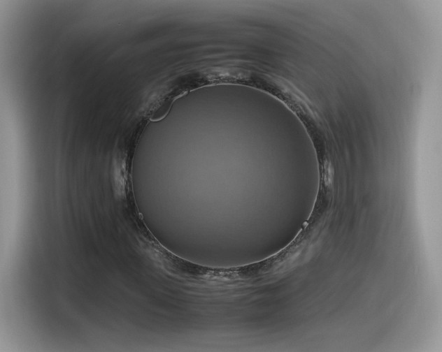 X0000115560915200911061550