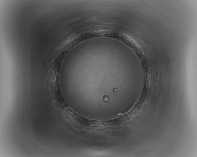 X0000115560917200911061550
