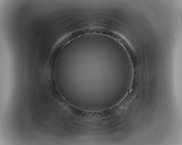 X0000115560919200911061550