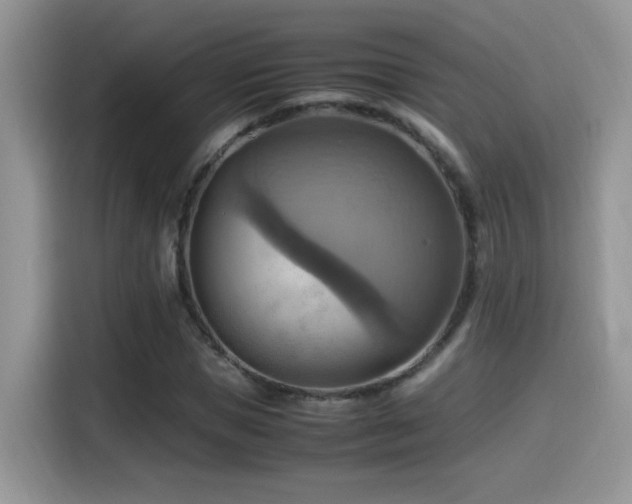 X0000115560921200911061550