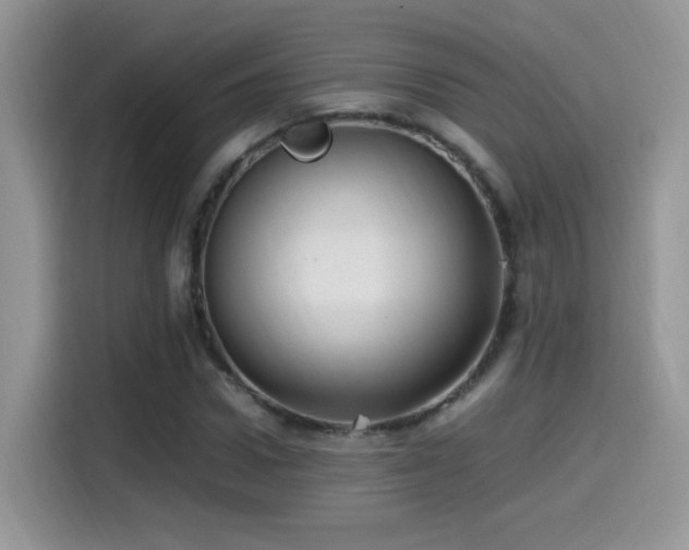 X0000115560922200911061550