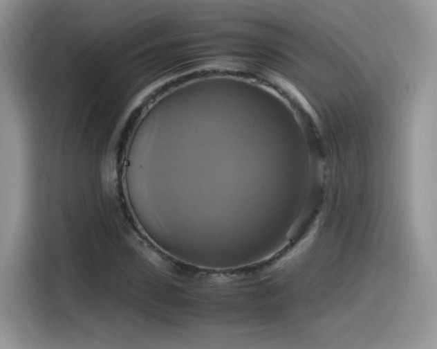 X0000115560923200911061550