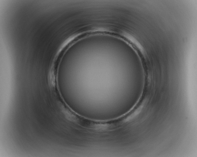 X0000115560925200911061550