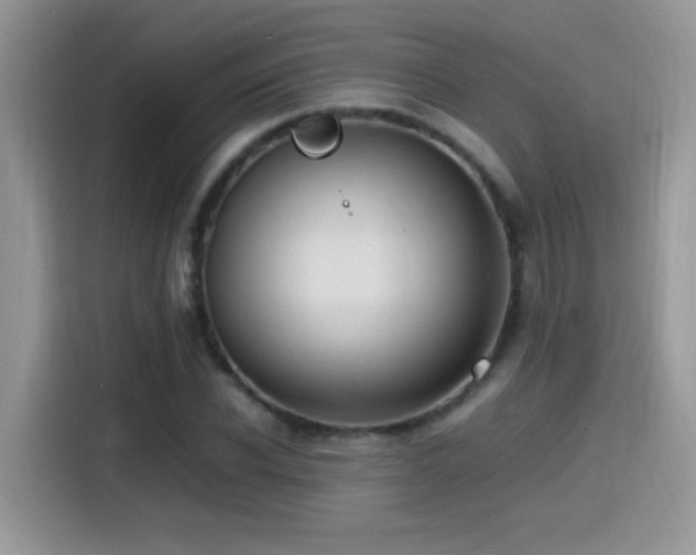 X0000115560926200911061550