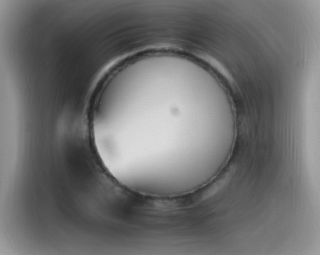 X0000115560927200911061550