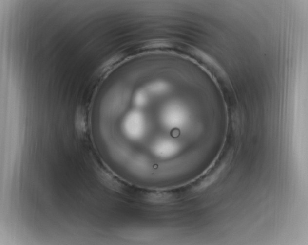 X0000115560929200911061550