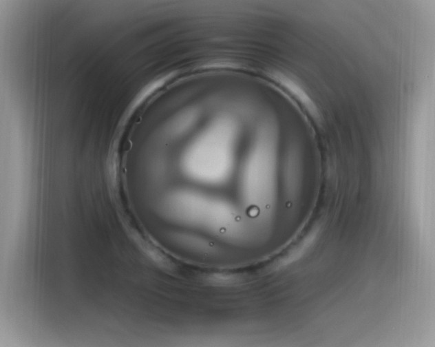 X0000115560933200911061550