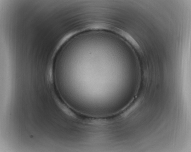 X0000115560934200911061550