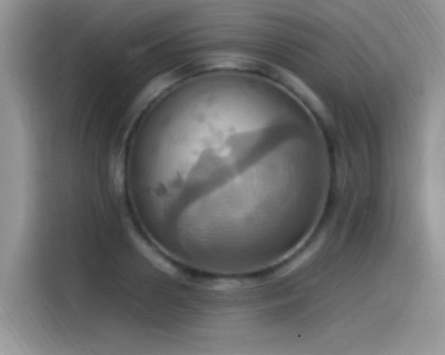 X0000115560938200911061550