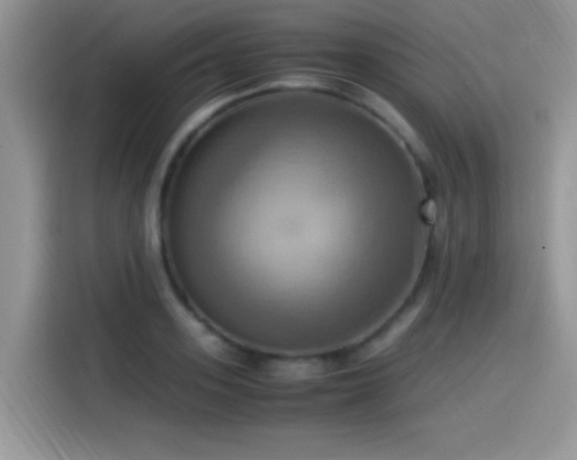 X0000115560939200911061550