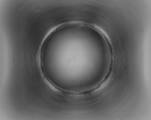X0000115560941200911061550