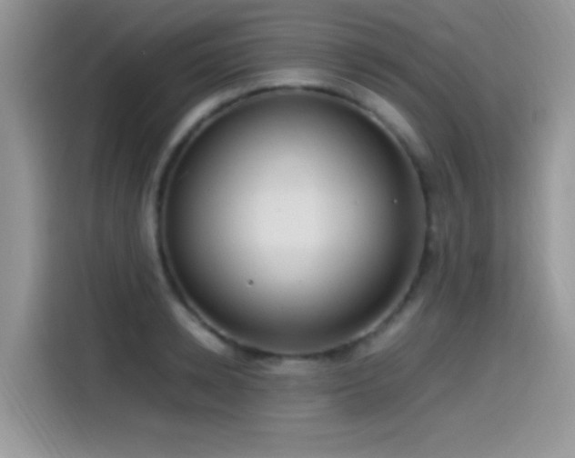 X0000115560942200911061550