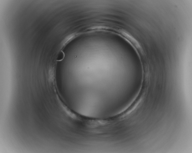 X0000115560945200911061550