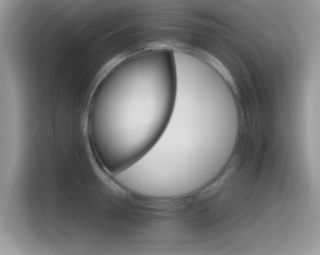 X0000115560946200911061550