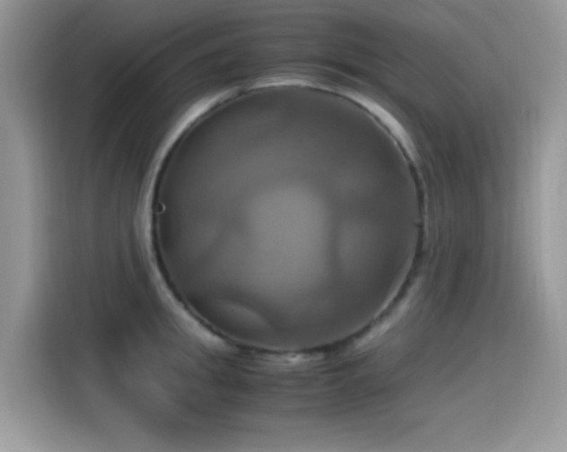 X0000115560949200911061550