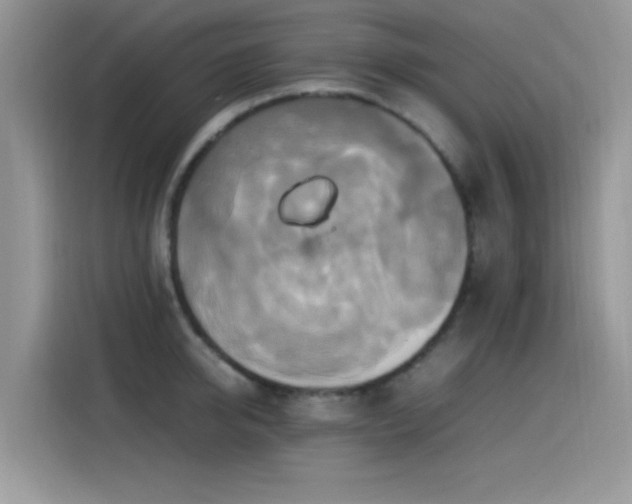 X0000115560950200911061550