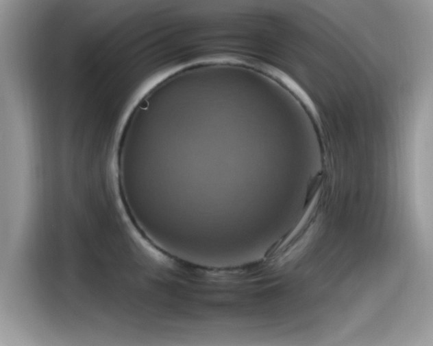 X0000115560951200911061550