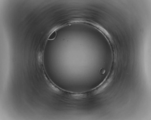 X0000115560953200911061550