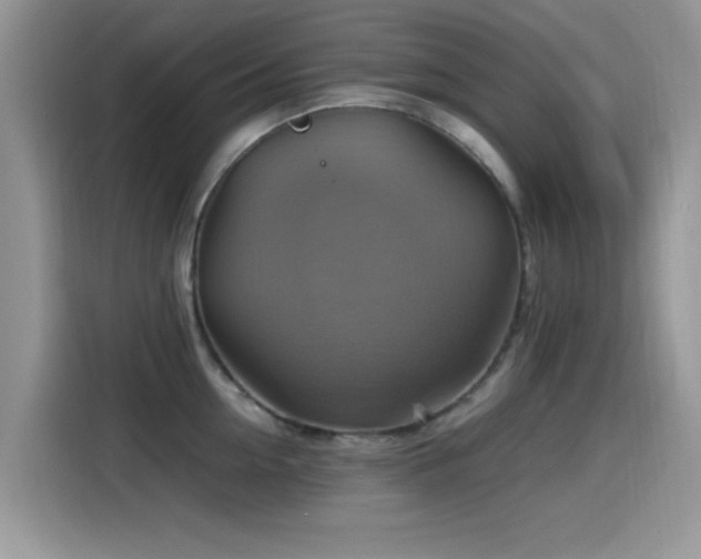 X0000115560954200911061550