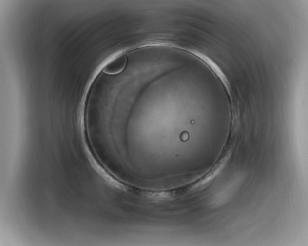 X0000115560957200911061550