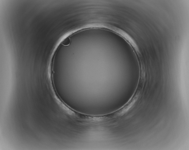 X0000115560958200911061550
