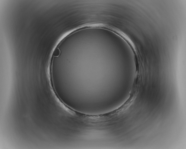 X0000115560959200911061550