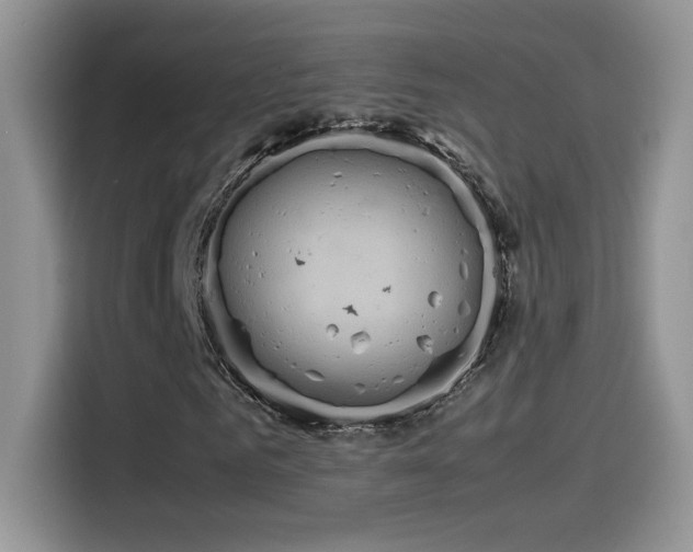 X0000115560961200911061550