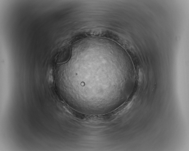 X0000115560962200911061550