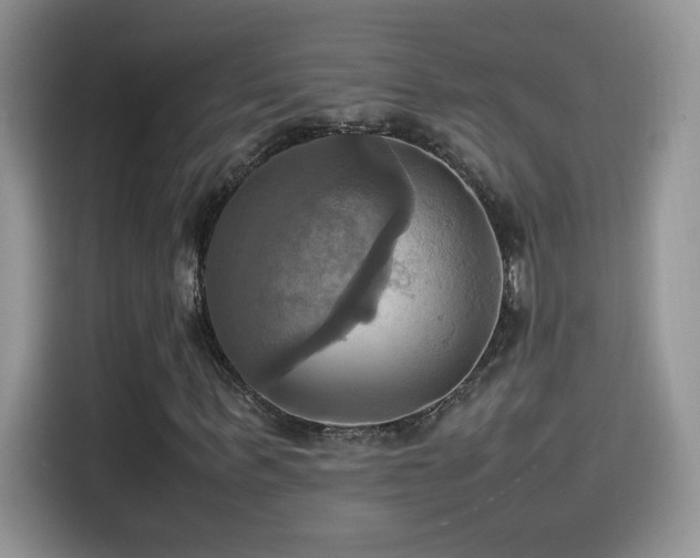 X0000115560963200911061550
