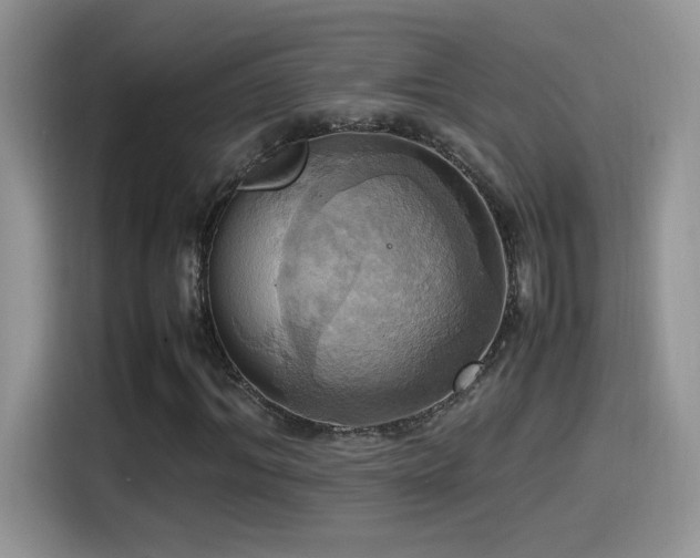 X0000115560964200911061550