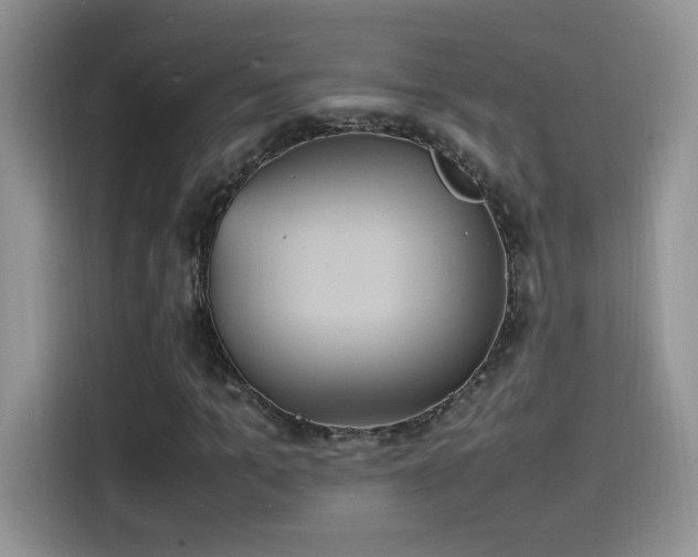X0000115560965200911061550