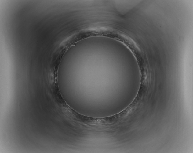 X0000115560966200911061550