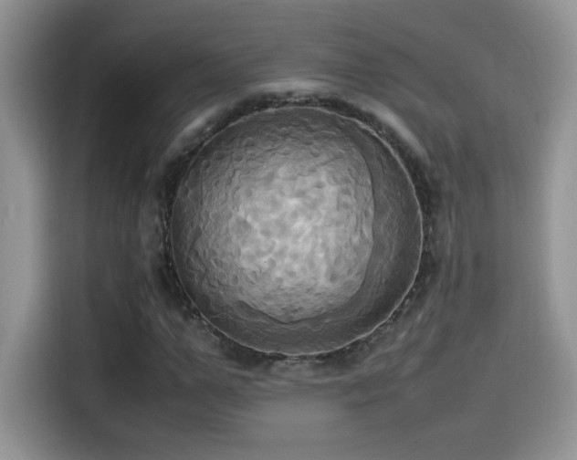 X0000115560967200911061550