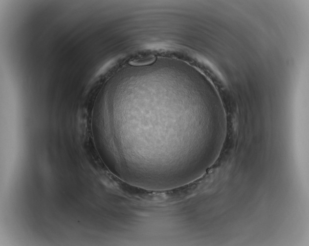 X0000115560968200911061550