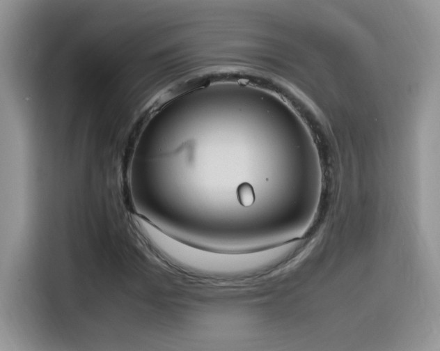X0000115560969200911061550