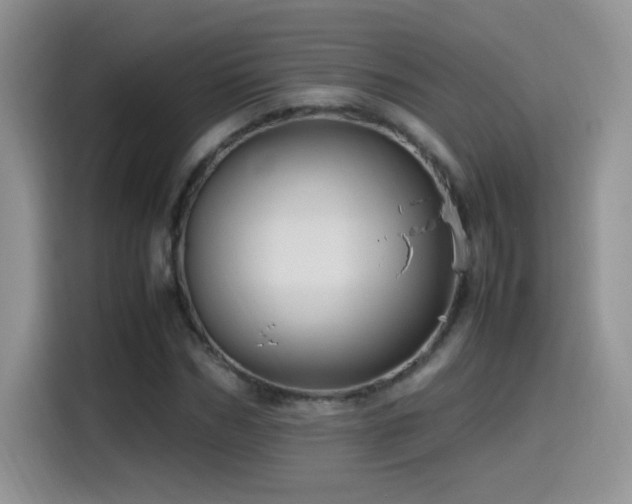 X0000115560970200911061550