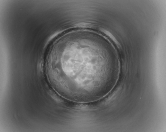 X0000115560971200911061550