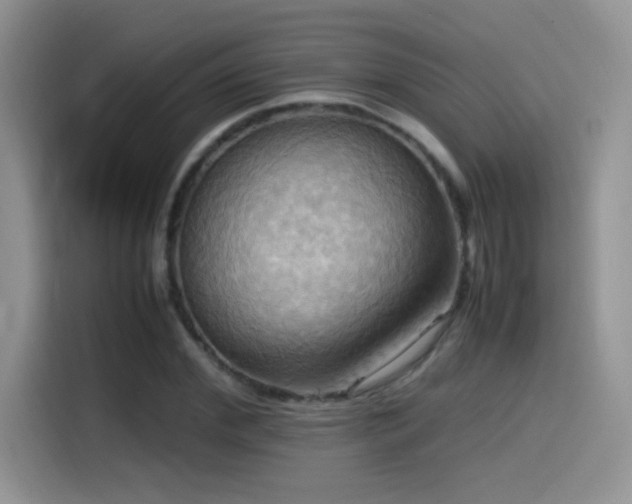 X0000115560972200911061550
