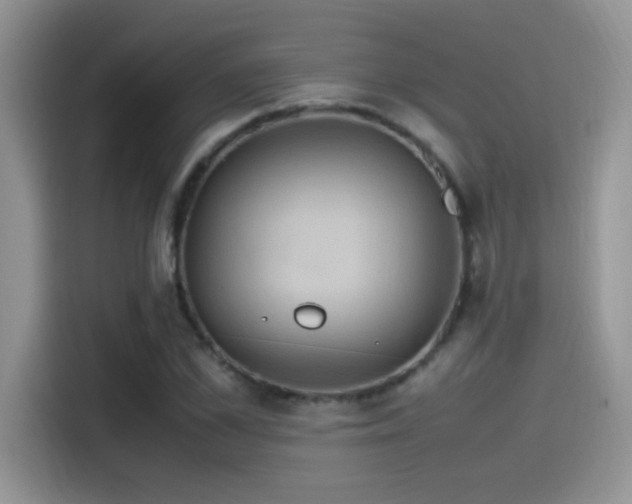 X0000115560973200911061550