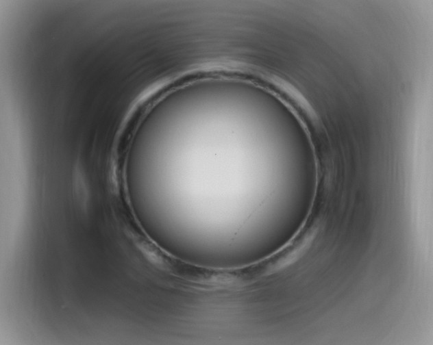 X0000115560974200911061550