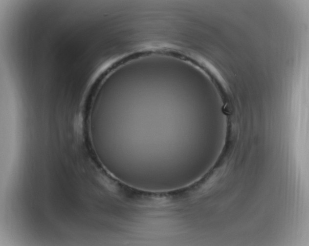 X0000115560975200911061550