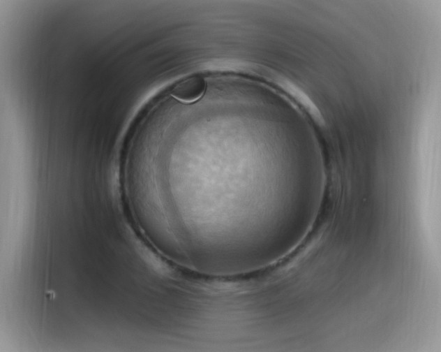 X0000115560976200911061550