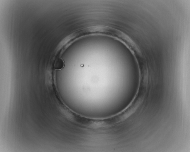 X0000115560978200911061550