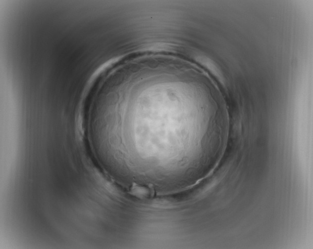 X0000115560979200911061550