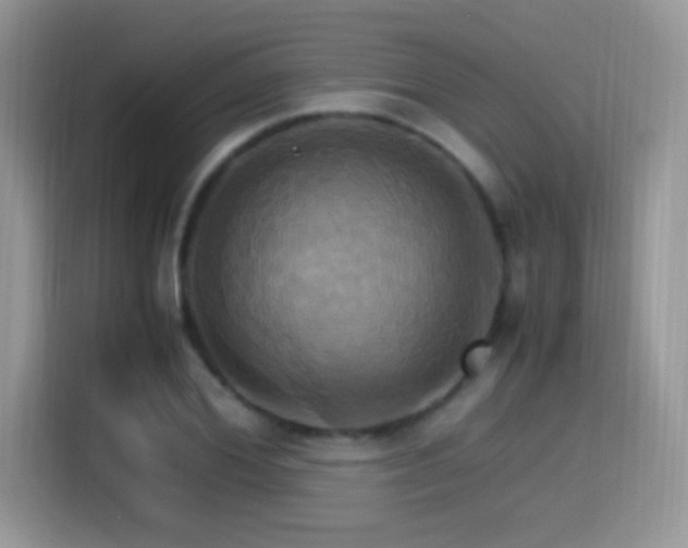 X0000115560980200911061550