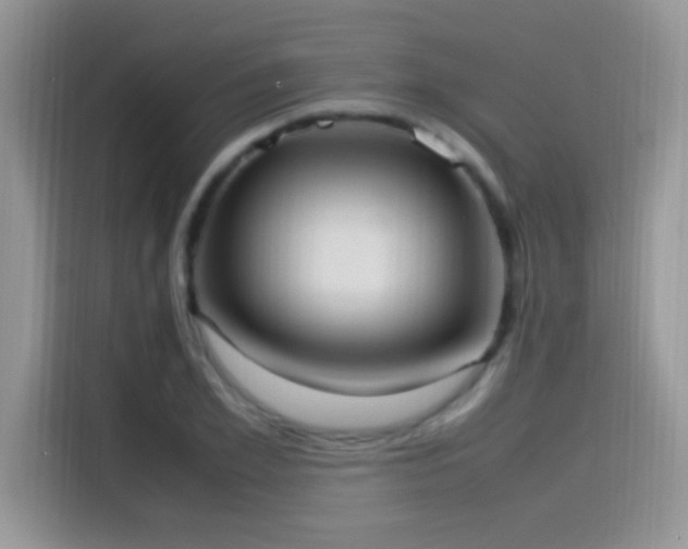 X0000115560981200911061550
