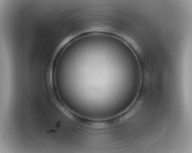 X0000115560982200911061550