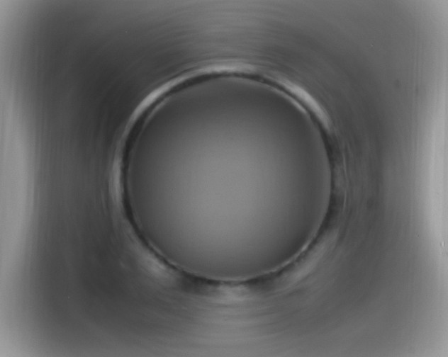 X0000115560983200911061549